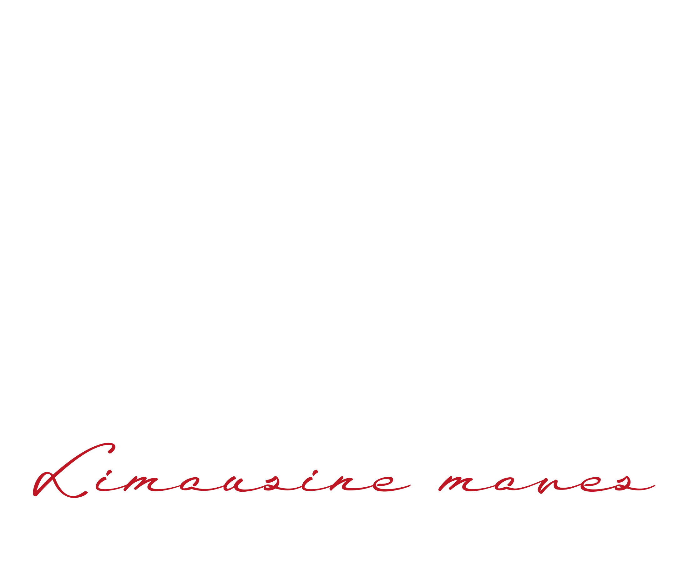 MGA Limousine Moves logo